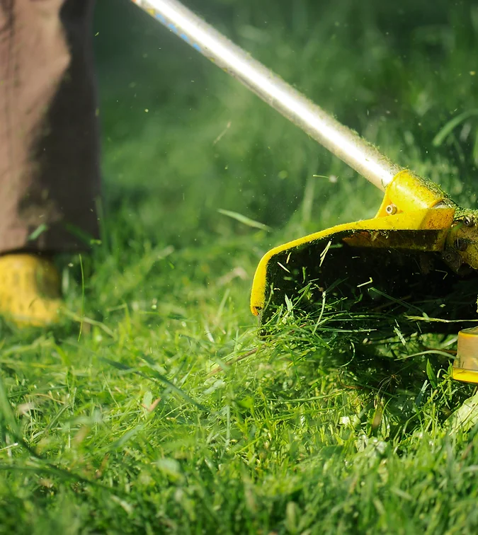 Maintenance Lawn Care