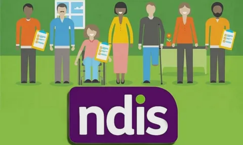 What is the NDIS